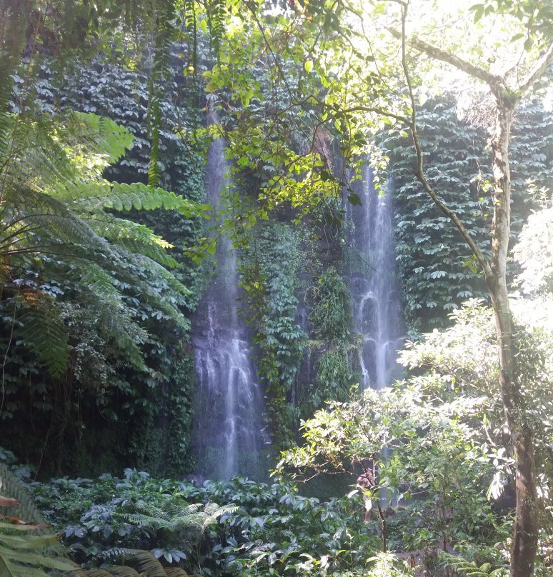 Benang Stokal and Benang Kelambu Waterfall景点图片