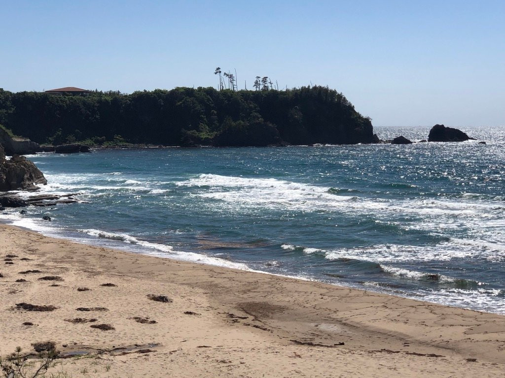 Kotogahama Beach景点图片