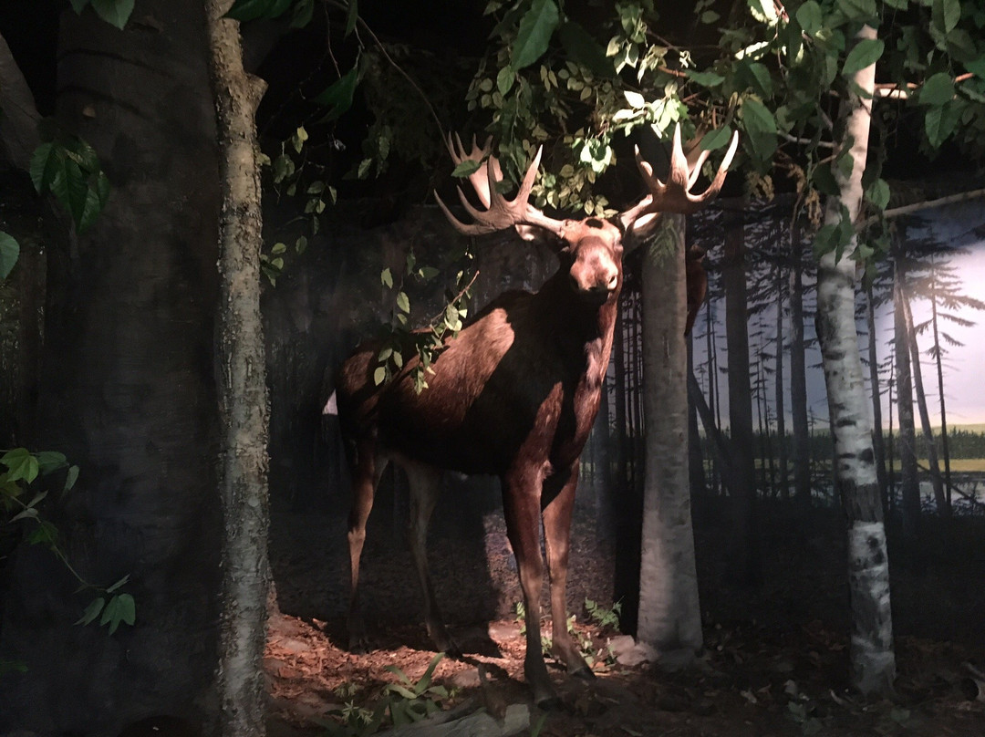 Turner Falls-Turners Falls必去景点
