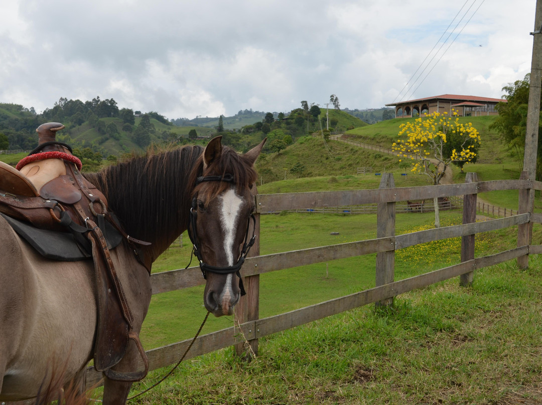 Steel Horse Colombia-Filandia必去景点