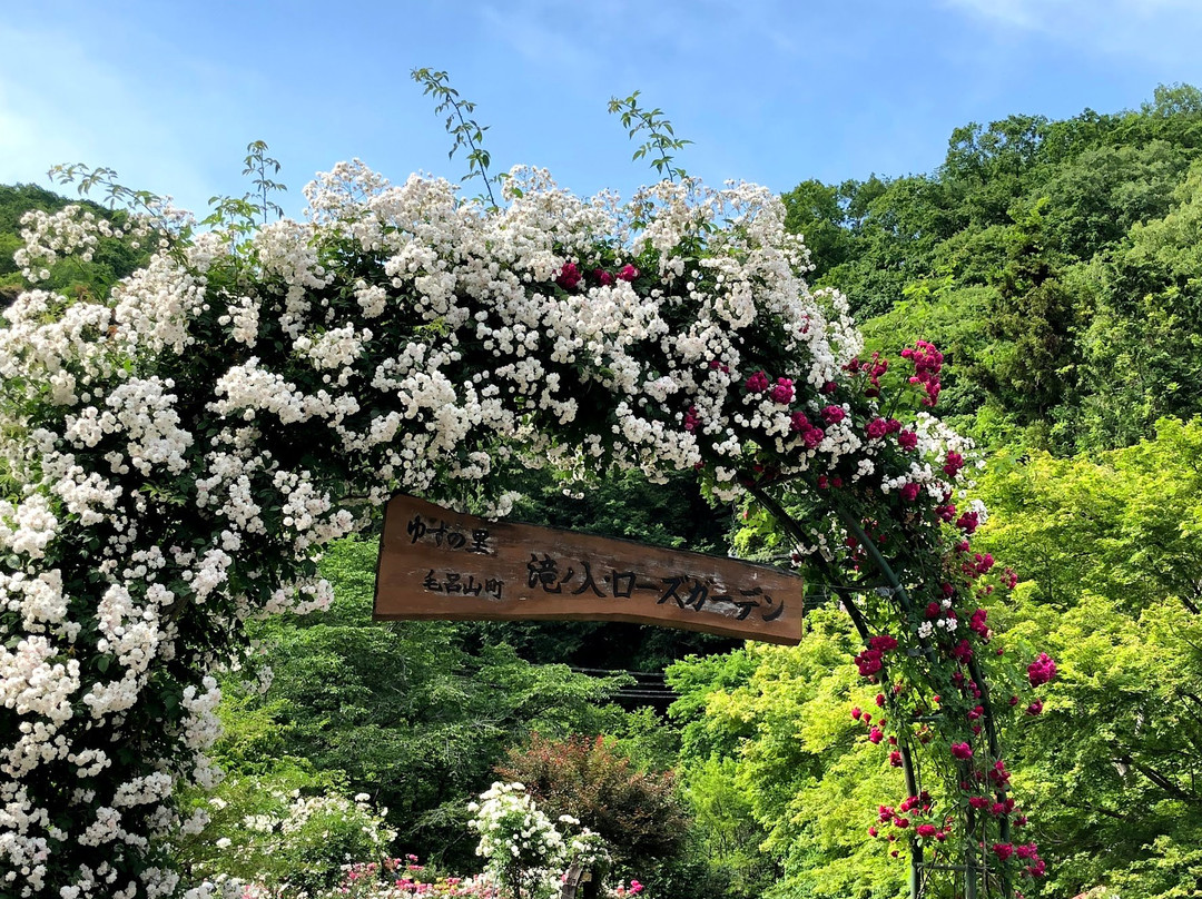 Takinoiri Rose Garden-毛吕山町必去景点