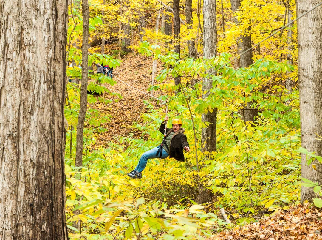 Adventureworks Zipline Forest at Fontanel景点图片