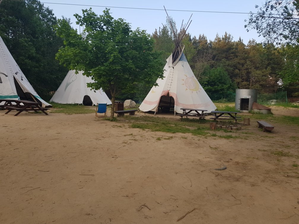 Kolibki Adventure Park Gdynia景点图片