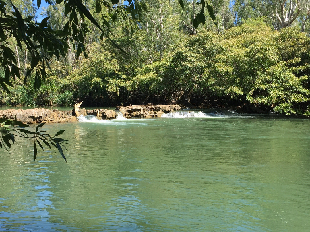 Mataranka Falls景点图片