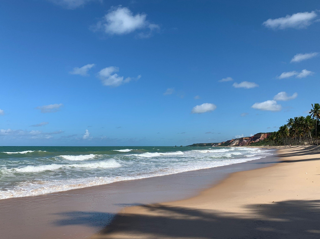 Praia do Coqueirinho景点图片