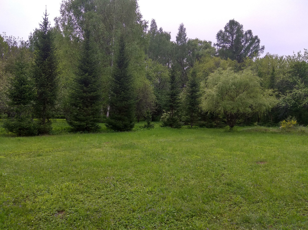 Arboretum Volga-Kama Biosphere Reserve景点图片