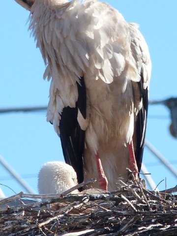 阿尔维-酒店景观