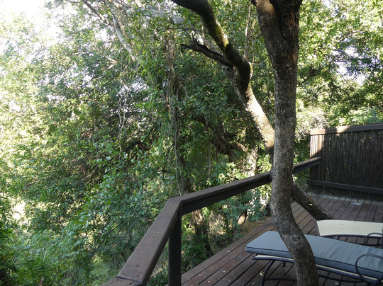 Elephant Plains Game Lodge主图