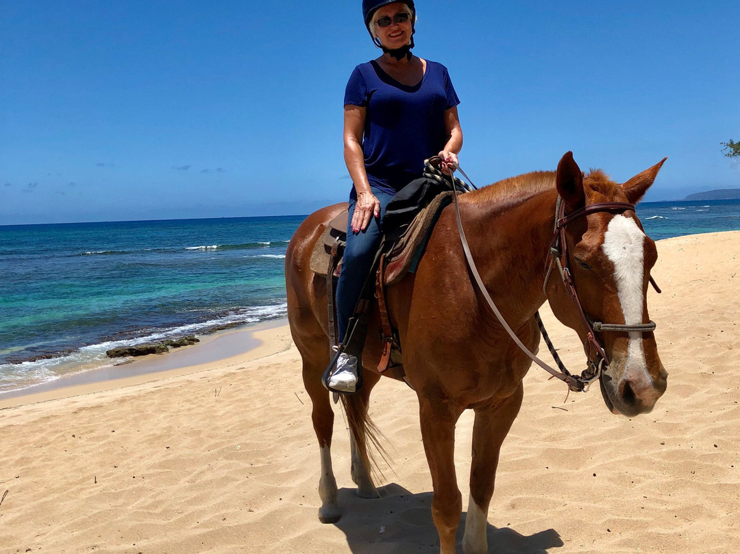 Hawaii Polo Club-瓦亚禄必去景点