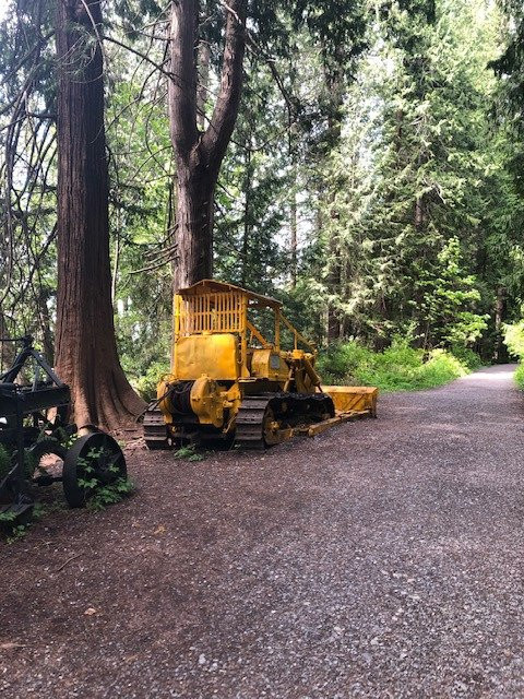 Willingdon Beach Trail景点图片