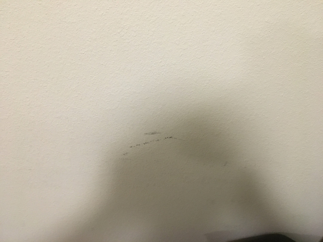 Days Inn & Suites by Wyndham Rochester Mayo Clinic South主图