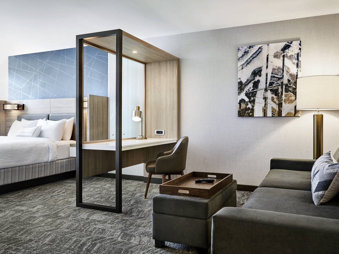 SpringHill Suites by Marriott New York JFK Airport/Jamaica主图