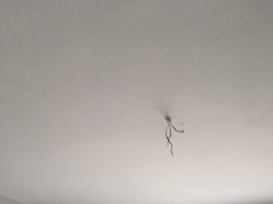 Barefoot Contessa主图