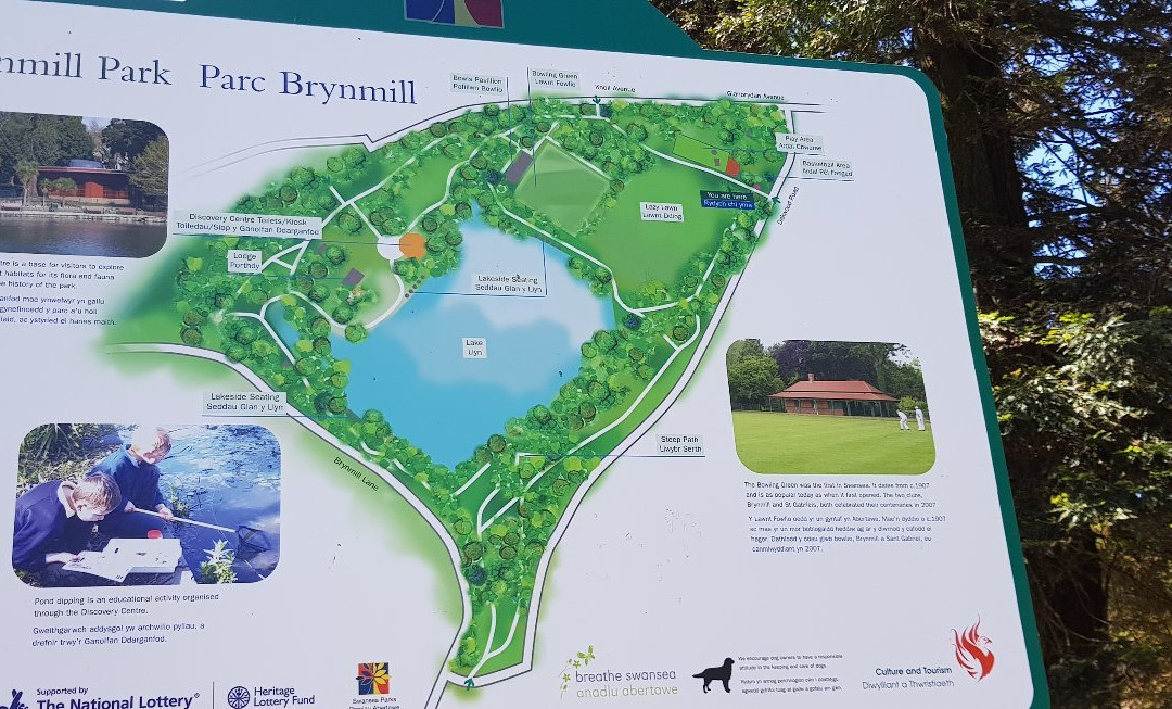 Brynmill Park景点图片