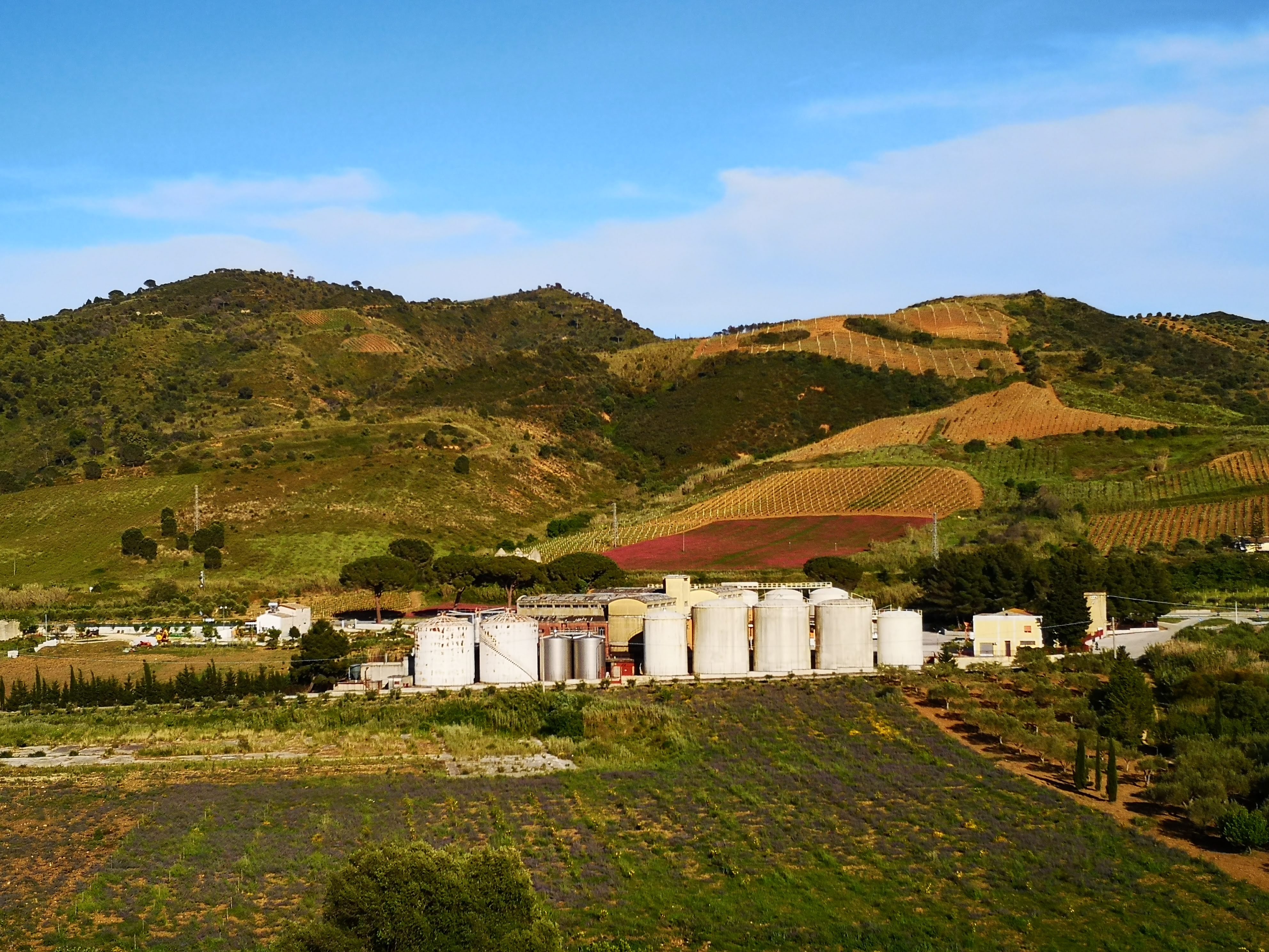 La Suite Di Segesta-酒店景观