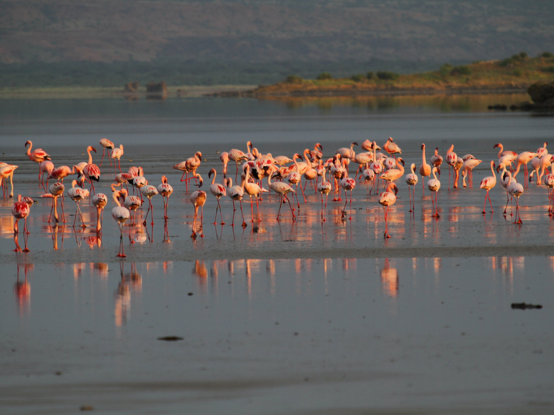 Katambuga Expedition-阿鲁沙必去景点