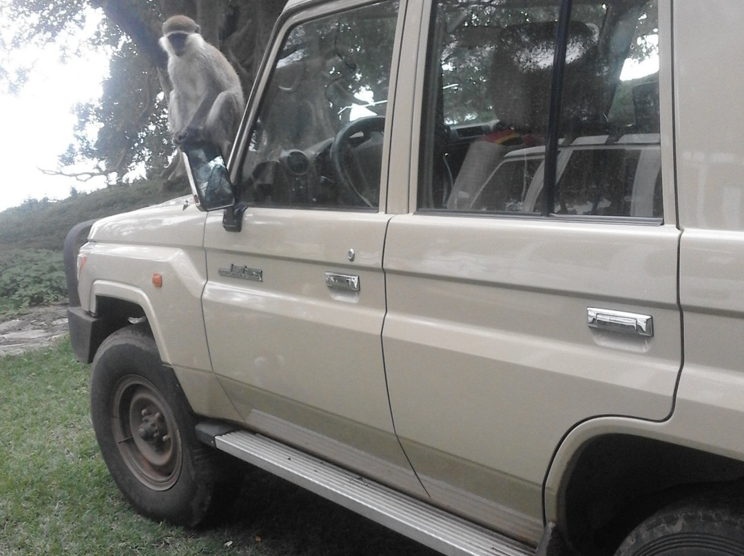 Agesha Tours-亚的斯亚贝巴必去景点