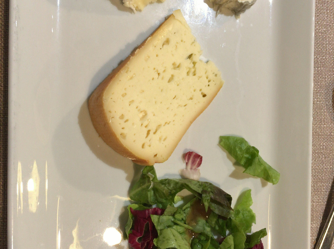 Logis Hôtel Restaurant La Haute Forêt主图