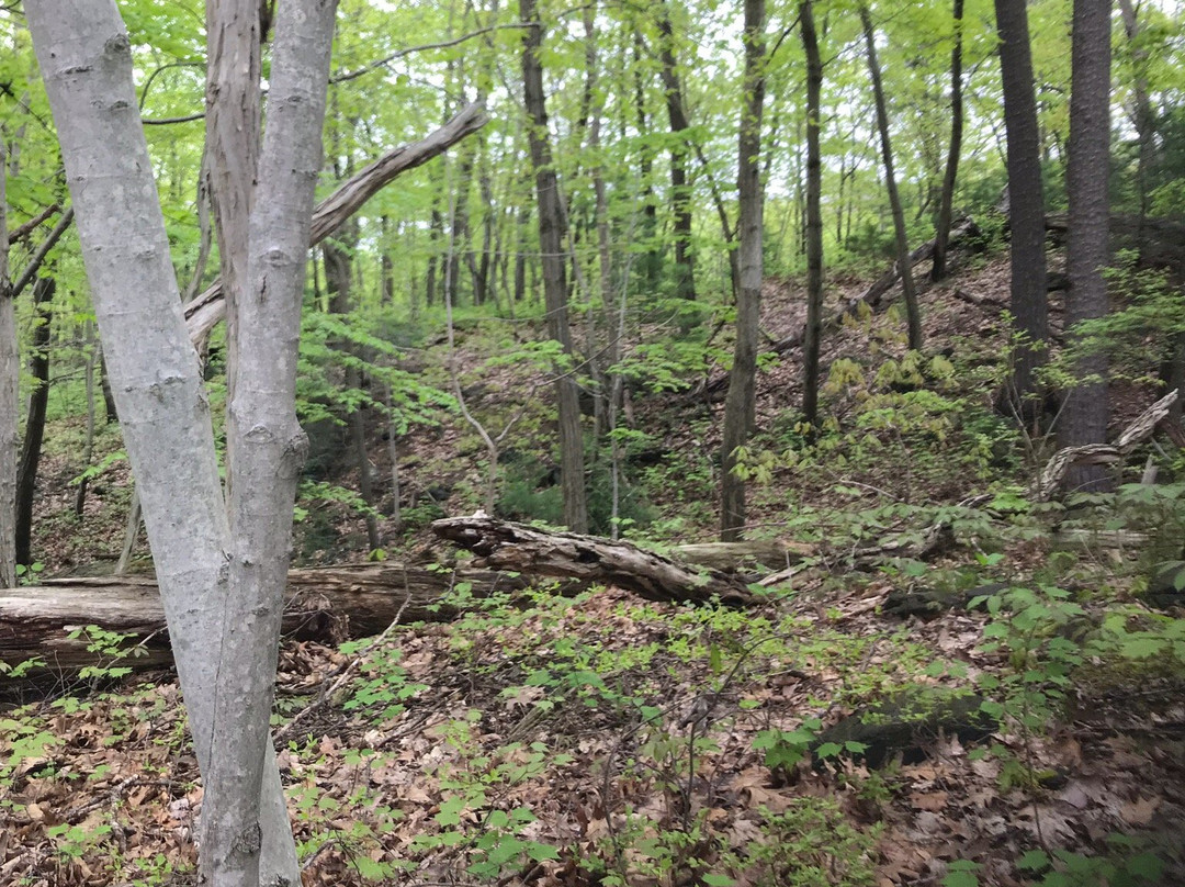 Arden Point State Park景点图片