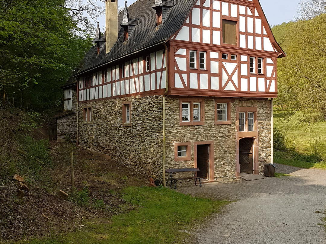 Rheinland-Pfalzisches Freilichtmuseum (open air museum)景点图片