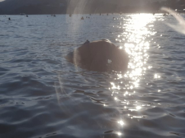 Ubatuba Beach-Sao Francisco do Sul必去景点