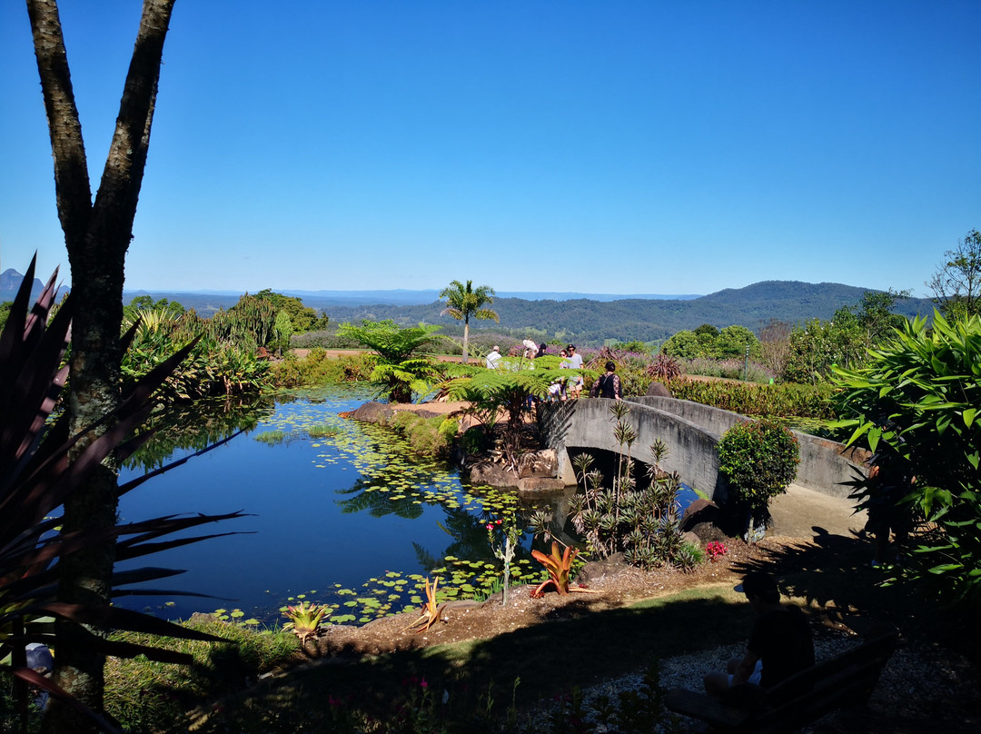 Redcliffe Botanic Gardens景点图片