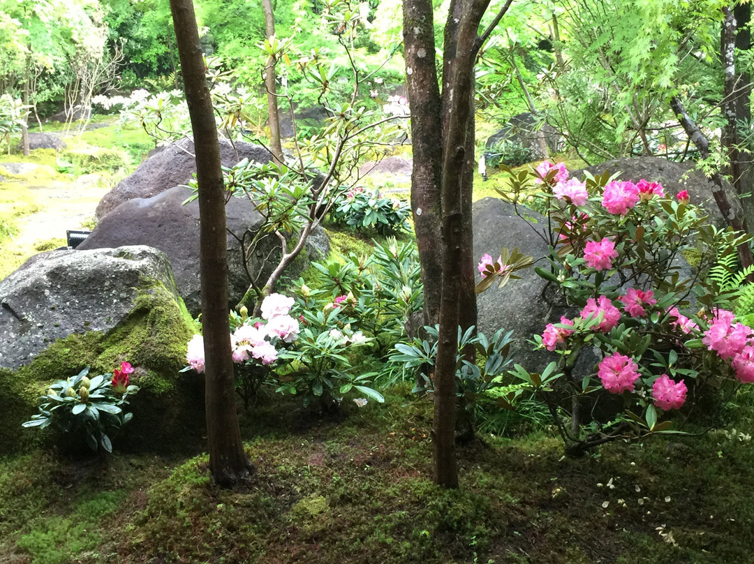 Koyaji Temple-武雄市必去景点