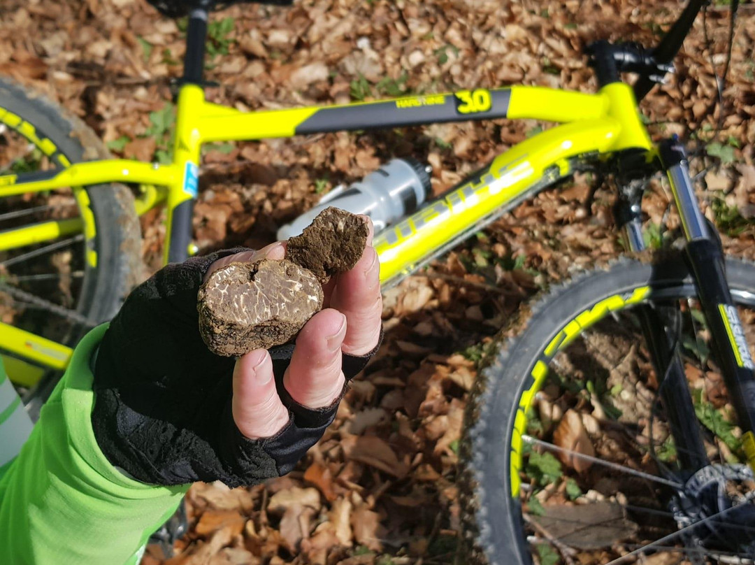 Adventure Tours Croatia-萨格勒布必去景点
