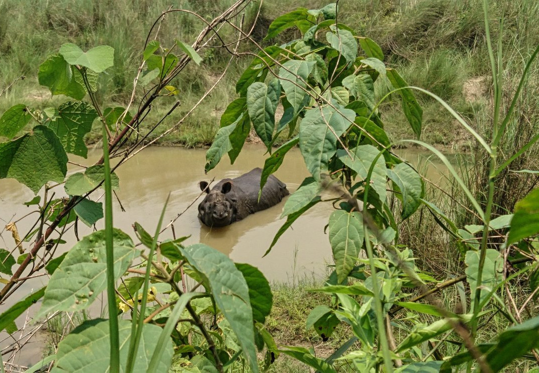 Co-operative Jungle Guide Service-苏拉哈必去景点