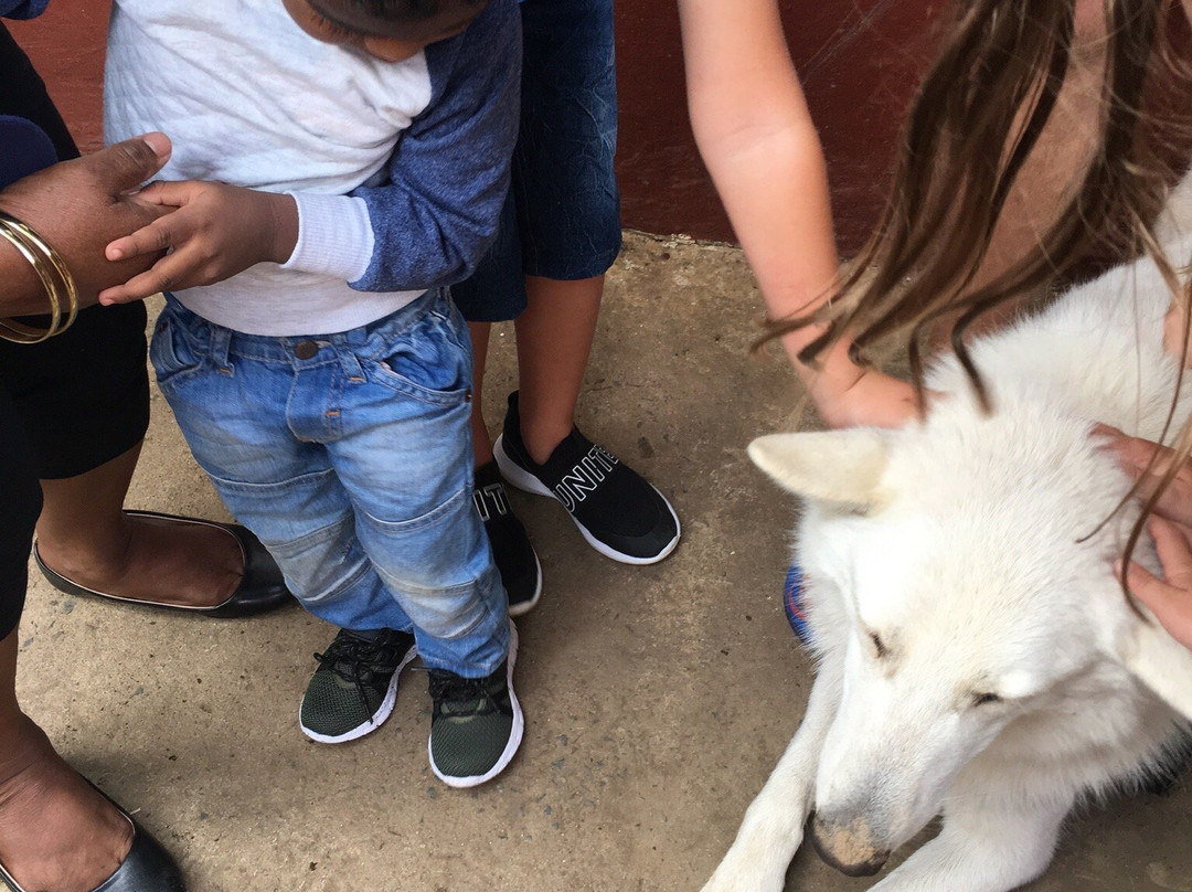 Flag Animal Farm-塩石必去景点