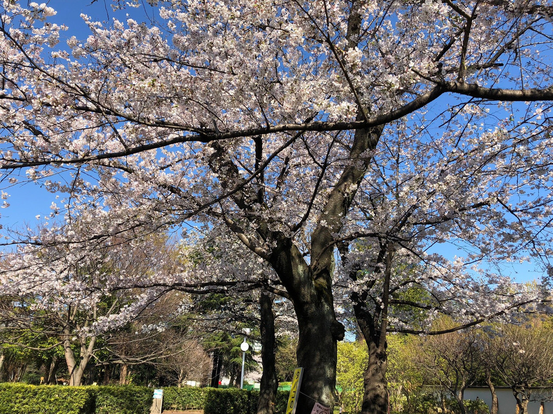 Saigoyama Park-目黒区必去景点