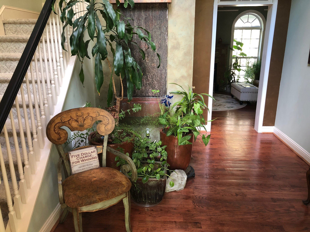 Butterfly Creek主图