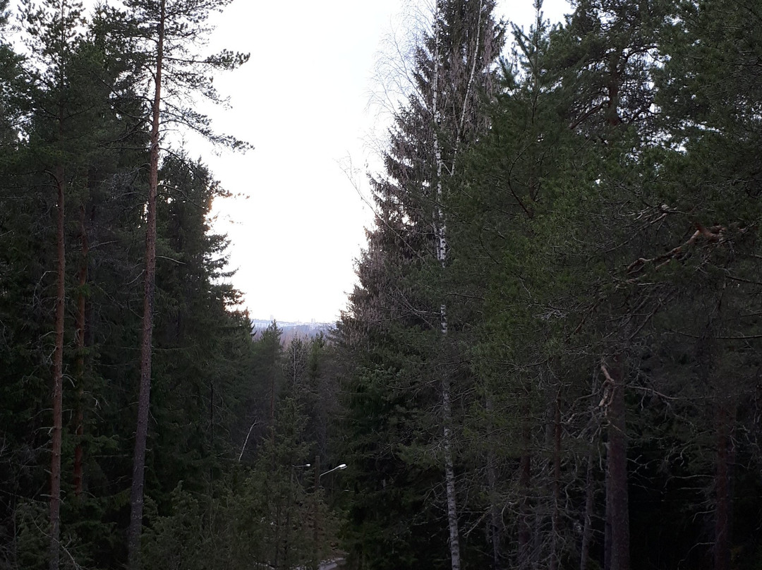 Mannerheimin patsas-坦佩雷必去景点