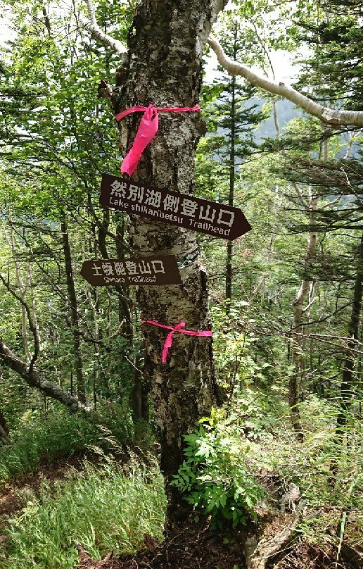 Mt Hakuun-鹿追町必去景点