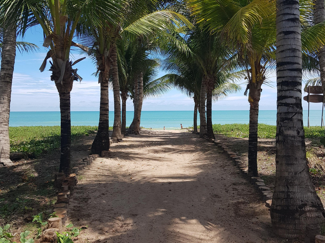 PNP Passeios na Paraíba-Joao Pessoa必去景点