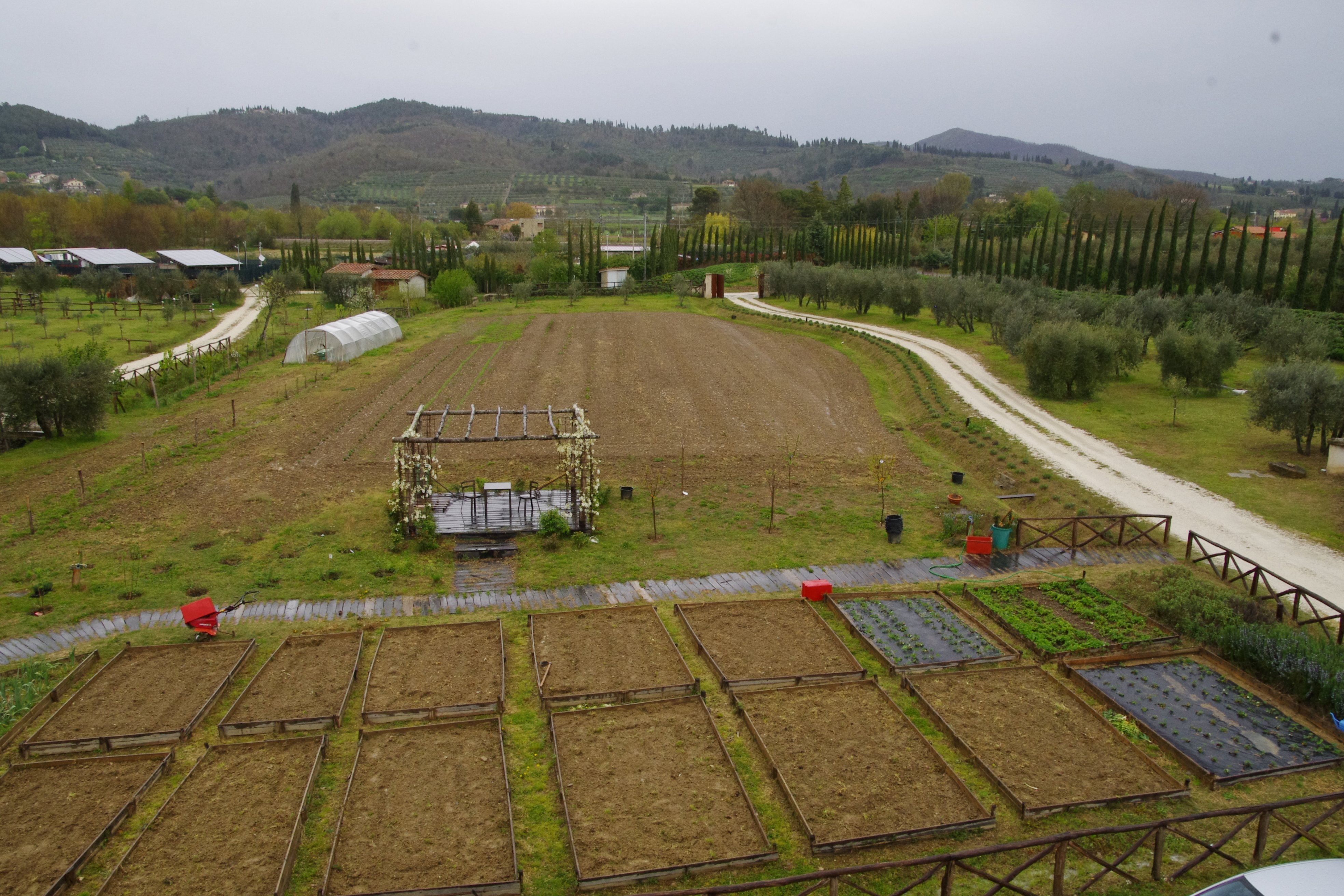 Agriturismo Cuprena-酒店景观
