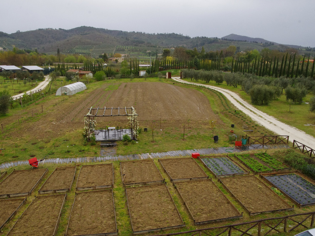 Agriturismo Cuprena主图
