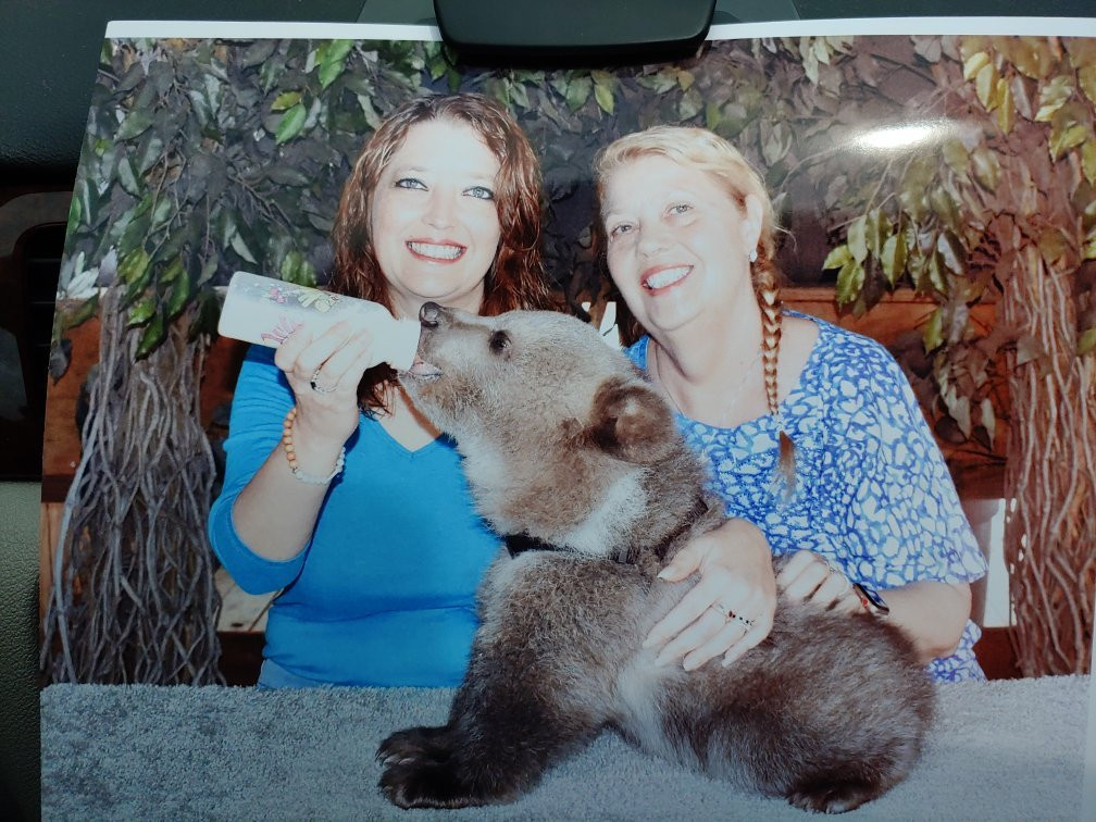 Cherokee Bear Zoo and Exotic Animals景点图片