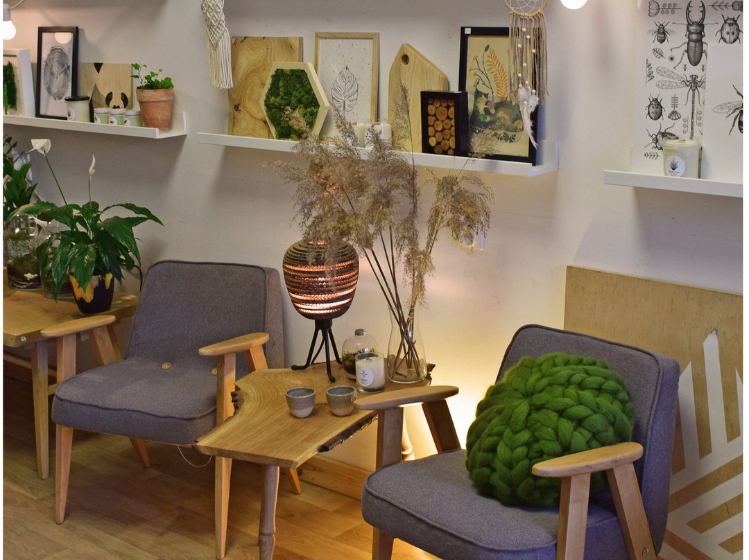 Natura Rzeczy-弗罗茨瓦夫必去景点