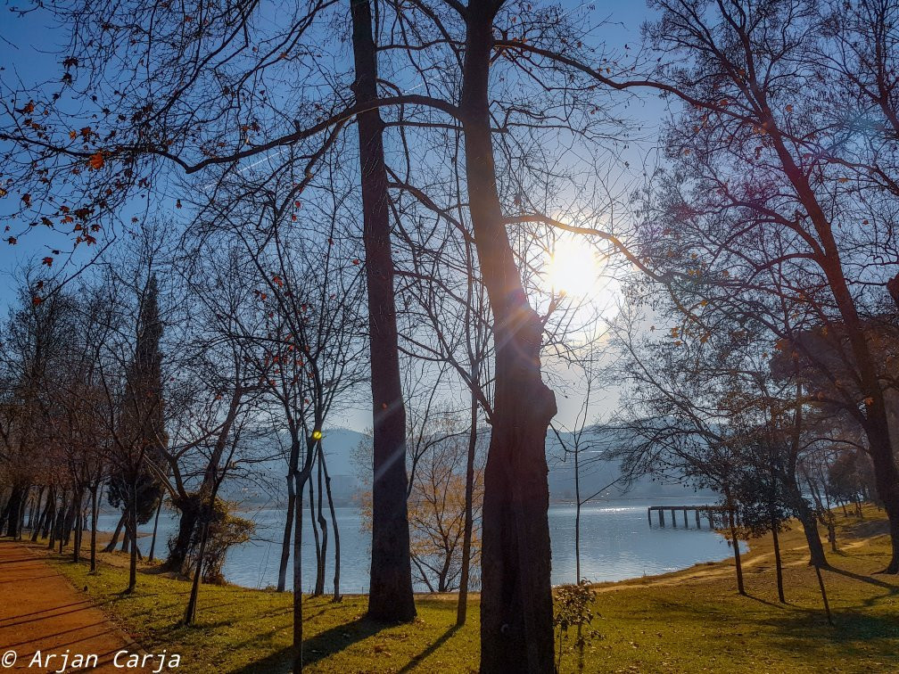 Liqeni Artificial i Tiranes-地拉那必去景点
