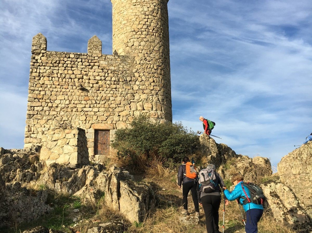 Torre de los Lodones-托雷洛多内斯必去景点