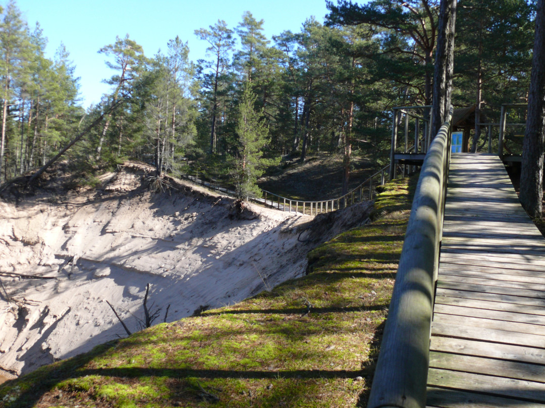 The White Dune of Pūrciems-Roja必去景点