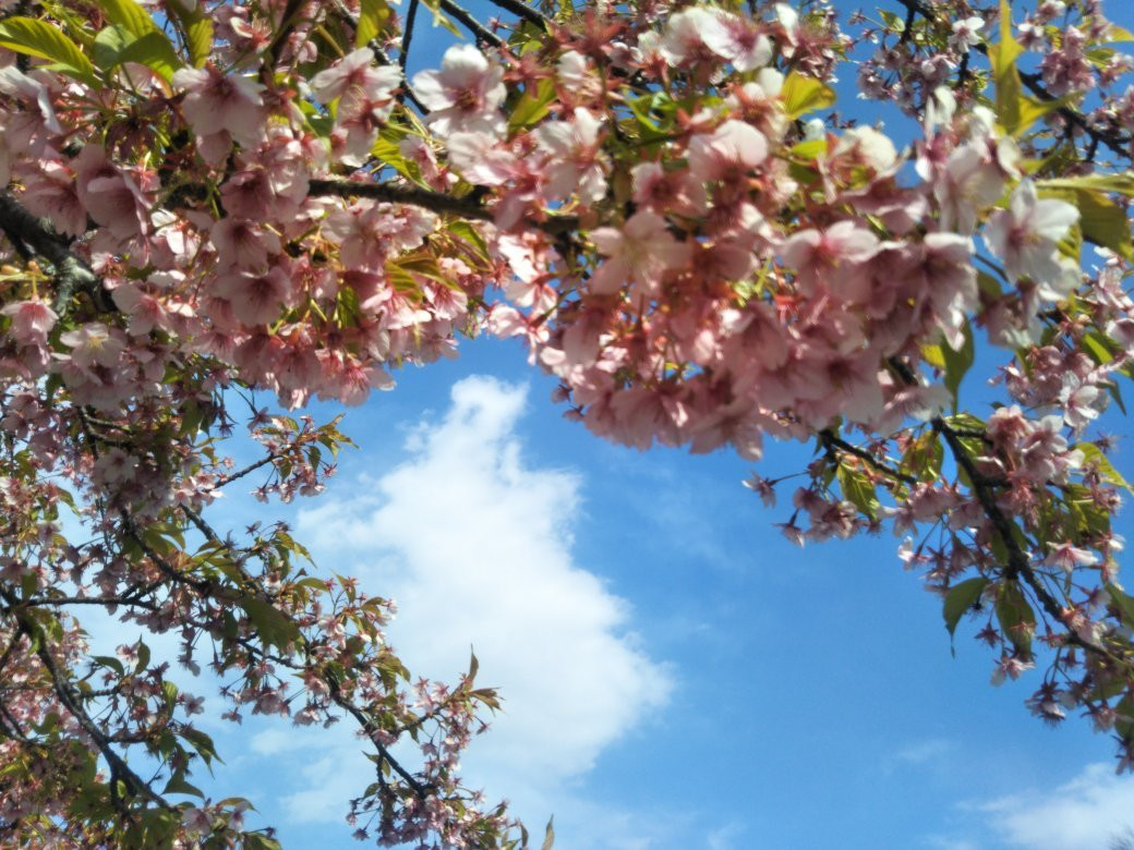 Shioiri Park-Minamisenju必去景点