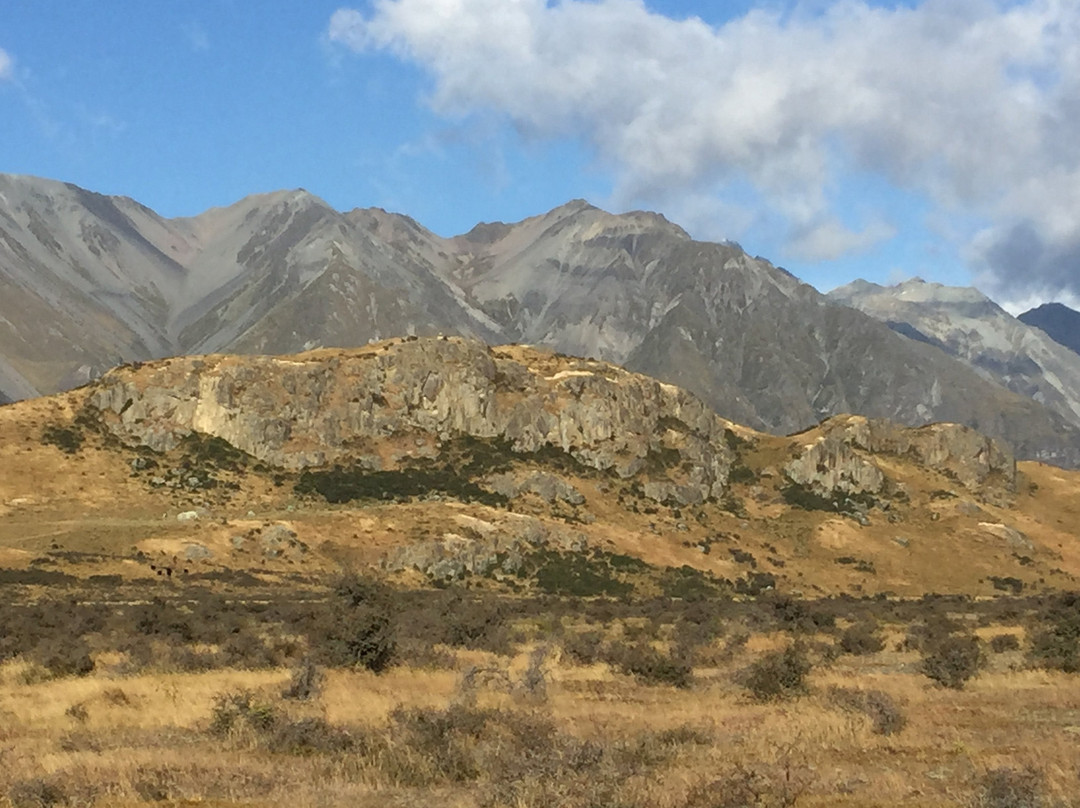 Hakatere Conservation Park景点图片
