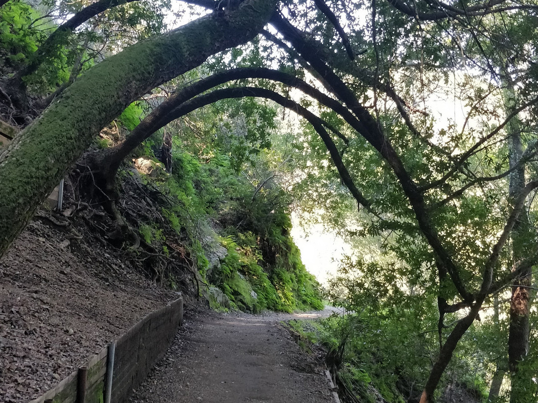 猫溪小径-圣何塞必去景点