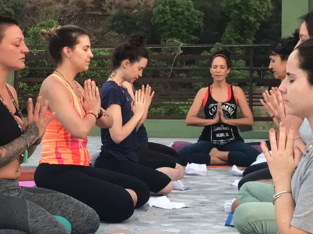 Yoga in Rishikesh景点图片