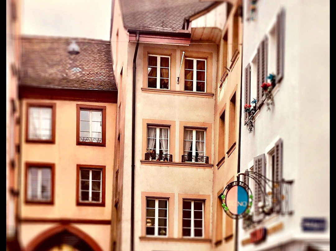 Aarauer Wochenmarkt-Aarau必去景点
