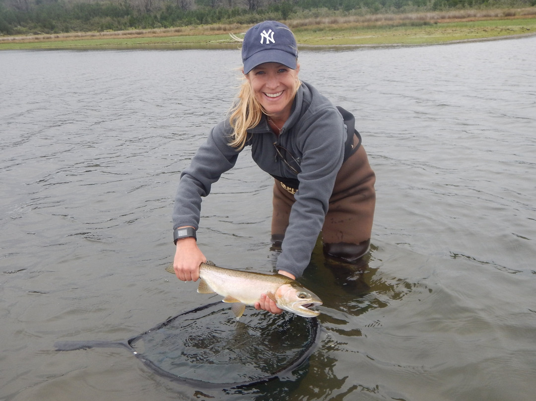 Angler and Antelope Guesthouse主图