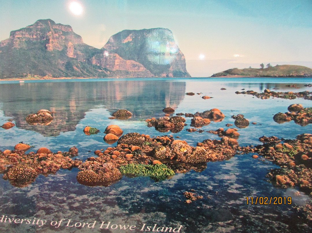 Lord Howe Island Museum-豪勋爵群岛必去景点