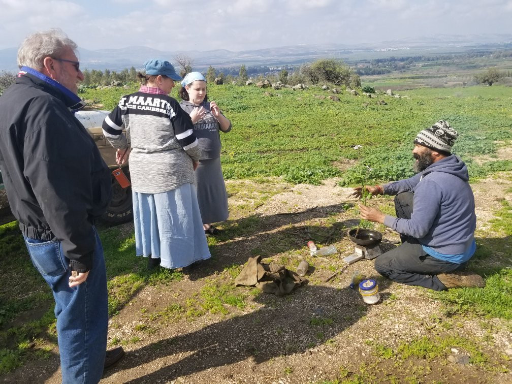 The Flying Turtle-Merom Golan必去景点